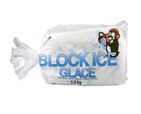 5kg ice bag