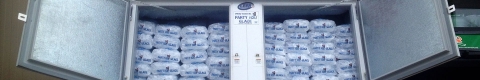 Party Ice where to buy